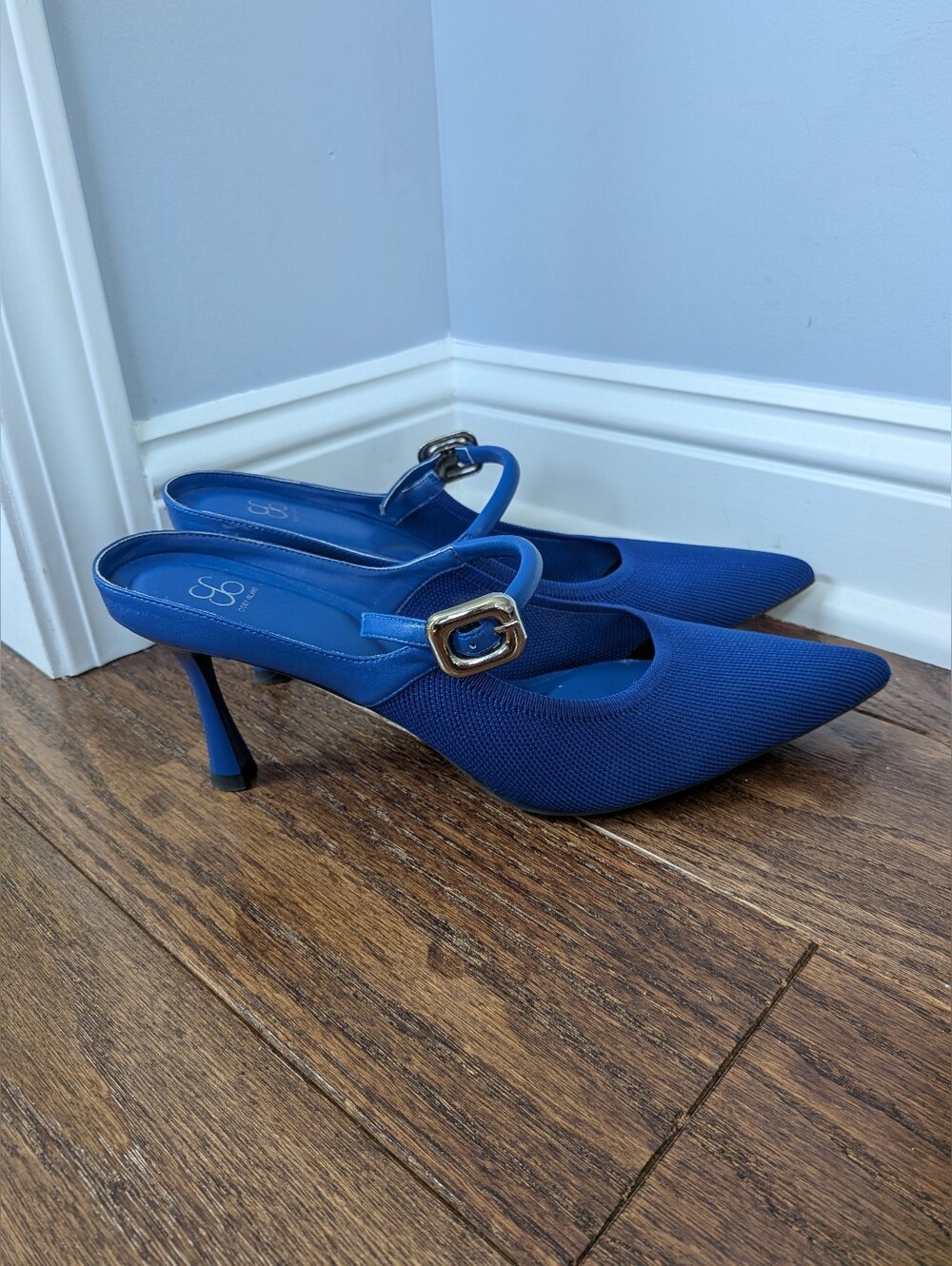 Cosy Island Women's Royal Blue Grace Lithe Pointed Toe Mule Heels Size 11